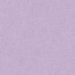 Papel de Parede Colibri 366286