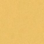 Papel de Parede Colibri 366288