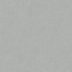 Papel de Parede Colibri 366291