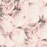 Papel de Parede New Studio 2.0 373982 “Consultar disponibilidade do Produto 19 9 8750-5835″