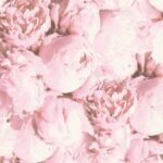 Papel de Parede New Studio 2.0 373983 “Consultar disponibilidade do Produto 19 9 8750-5835″