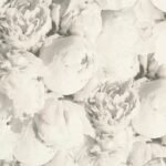 Papel de Parede New Studio 2.0 373984 “Consultar disponibilidade do Produto 19 9 8750-5835″