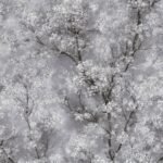 Papel de Parede New Walls 374201