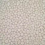 Papel de Parede Infantil Magica 40314 "Consultar disponibilidade do Produto 19 9 8750-5835"