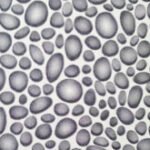 Papel de Parede Infantil Magica 40319 "Consultar disponibilidade do Produto 19 9 8750-5835"