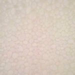 Papel de Parede Infantil Magica 40320 "Consultar disponibilidade do Produto 19 9 8750-5835"