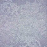 Papel de Parede Infantil Magica 40344 "Consultar disponibilidade do Produto 19 9 8750-5835"