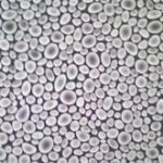 Papel de Parede Infantil Magica 40387 "Consultar disponibilidade do Produto 19 9 8750-5835"