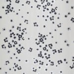 Papel de Parede Vanity 40901 | Consultar disponibilidade do Produto |