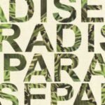 Papel de Parede Freudin 440133 | Consultar disponibilidade do Produto |