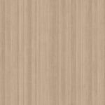 Papel de Parede Steampunk CG45182