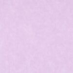 Papel de Parede The Garden of Amsterdan  46125