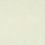 Papel de Parede The Garden of Amsterdan 46126