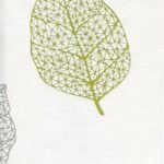 Papel de Parede Modern Life 51143404 | Consultar disponibilidade do Produto |