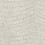 Papel de Parede Couleurs et Matieres 2 51157507