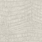 Papel de Parede Enjoy 511575071