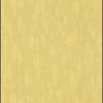 Papel de Parede Garden Party 51161704 “Consultar disponibilidade do Produto 19 9 8750-5835″