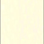 Papel de Parede Garden Party 51161706 “Consultar disponibilidade do Produto 19 9 8750-5835″