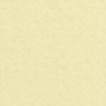 Papel de Parede Fragrance 51194202 | Consultar disponibilidade do Produto |