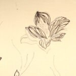 Papel de Parede Milanocity 55709 "Consultar disponibilidade do Produto"