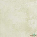 Papel de Parede Classici 5 5A096701R