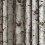 Papel de Parede Neonature 5 5N855301R | Consultar disponibilidade do Produto |