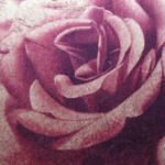 Papel de Parede Bling 660805