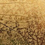 Papel de Parede Bling 661416