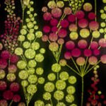 Papel de Parede Bling 670103