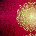 Papel de Parede Bling 682301