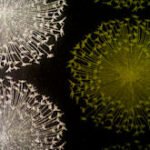 Papel de Parede Bling 682302