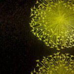 Papel de Parede Bling 682304