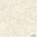 Papel de Parede Space VI 6S286304R