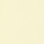 Papel de Parede Simply White 705693