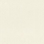 Papel de Parede African Queen III 751536