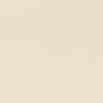 Papel de Parede African Queen III 752625