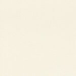 Papel de Parede African Queen III 752632