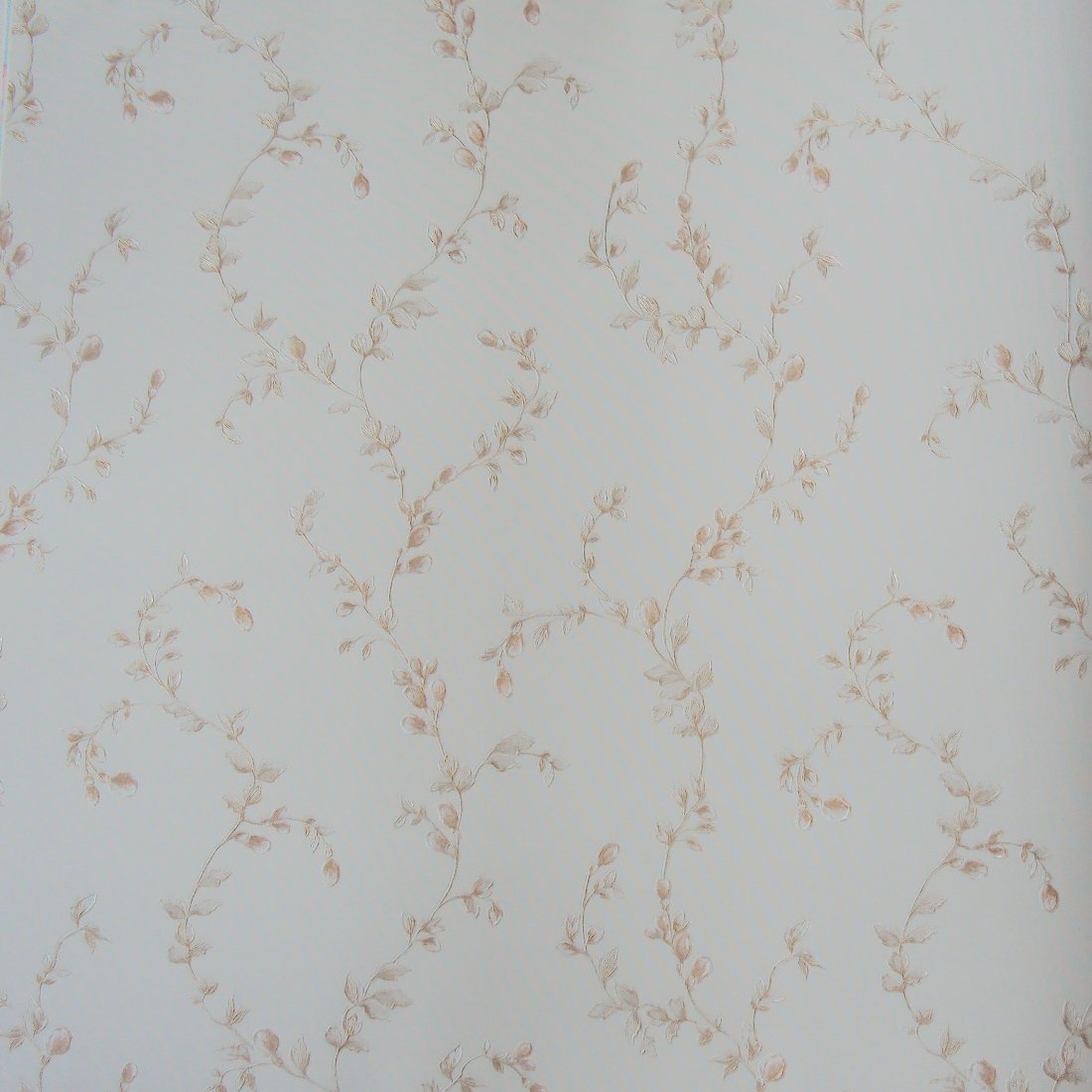 810171__01725.jpg Papel de Parede Blossom 810171 - Imagem 1