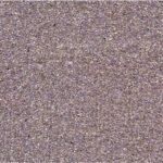 Papel de Parede Mica Mundi 8106