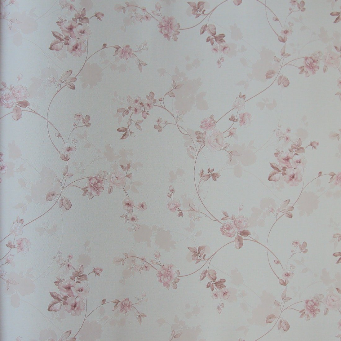 820162__30938.jpg Papel de Parede Blossom 820162 - Imagem 1