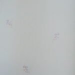 Papel de Parede Blossom 820171