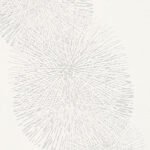 Papel de Parede Simply White 943591