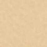 Papel de Parede Speranza 956445