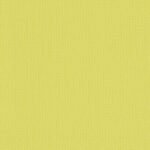 Papel de Parede Colour Fast 959595