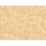 Papel de Parede Jungle 960952