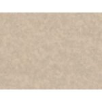 Papel de Parede Jungle 960954