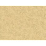 Papel de Parede Jungle 960956