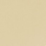 Papel de Parede Poet Chart 2 970402 “Consultar disponibilidade do Produto 19 9 8750-5835″