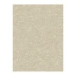 Papel de Parede Smith 9D040605 “Consultar disponibilidade do Produto 19 9 8750-5835”