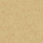 Papel de Parede Kashimir BH8349